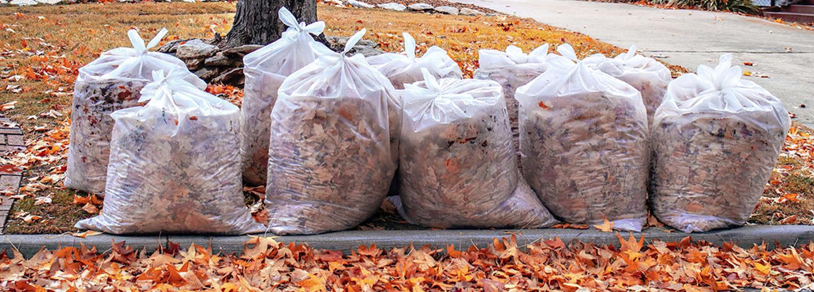 bags of leaves at the curb