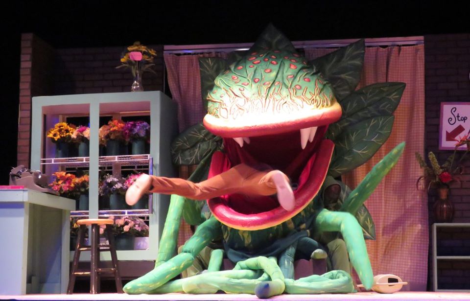 Photo from Sumter Little Theater Production of Little Shop of Horrors.