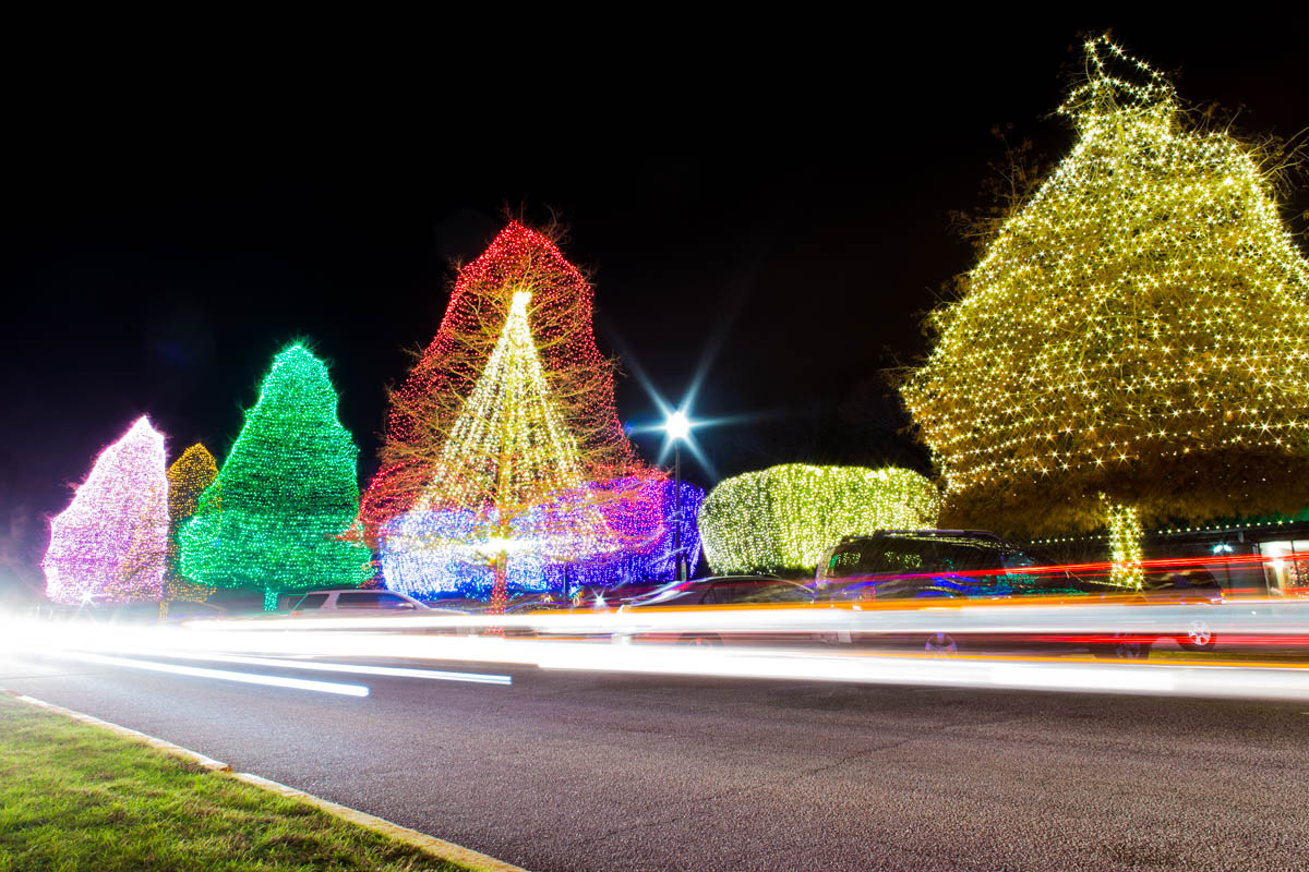 Cars and Christmas Lights