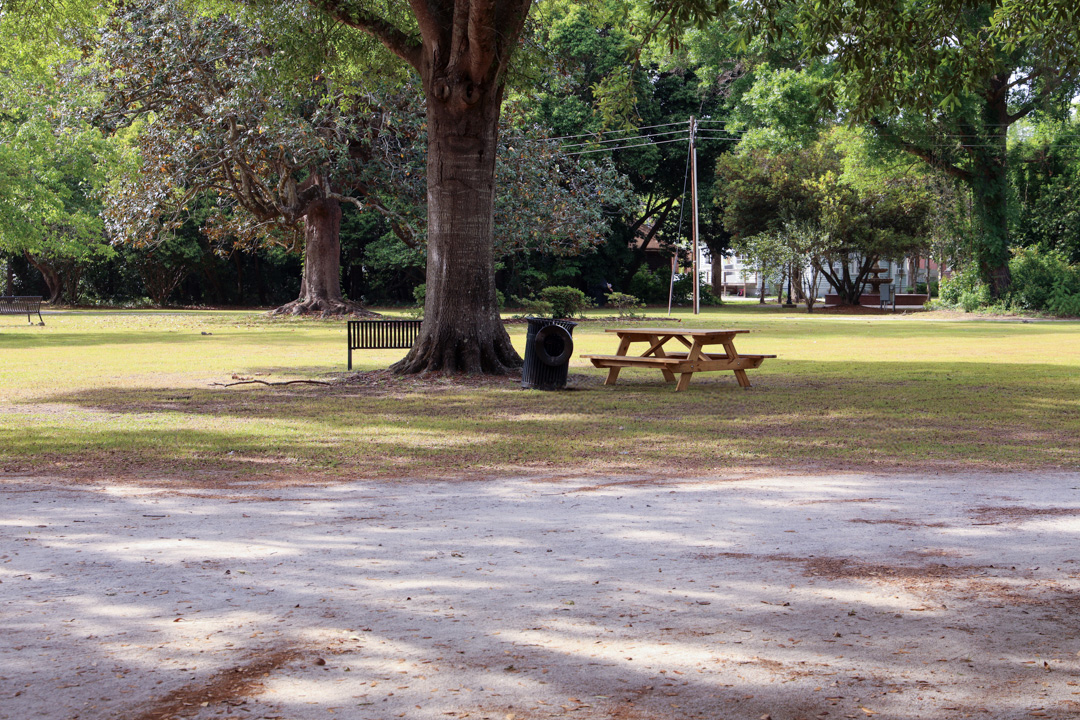 Benches and Picnic Tables in memorial Park