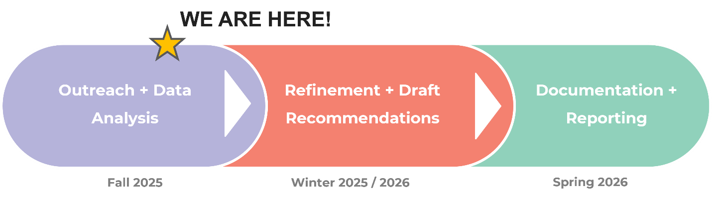 SS4A Project Schedule Graphic