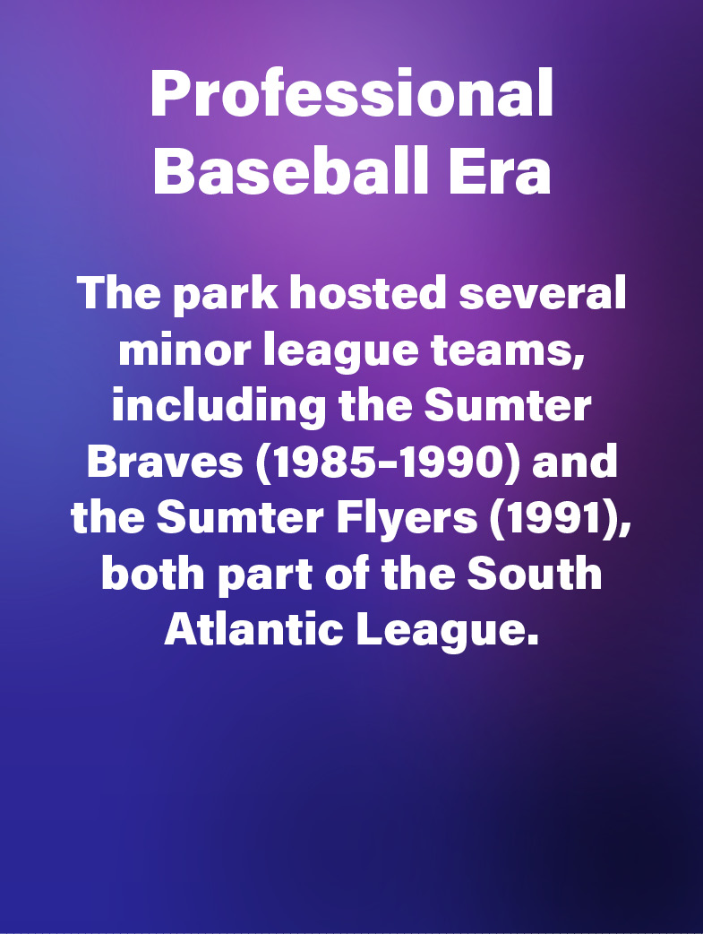 Professional Baseball Era